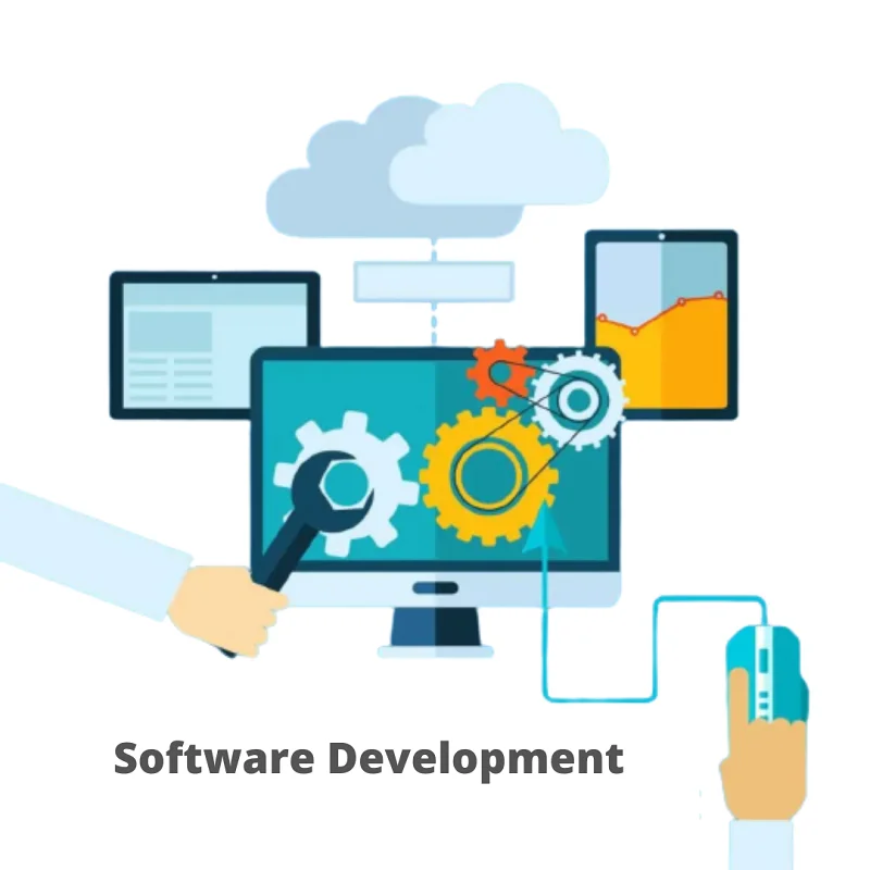 software development